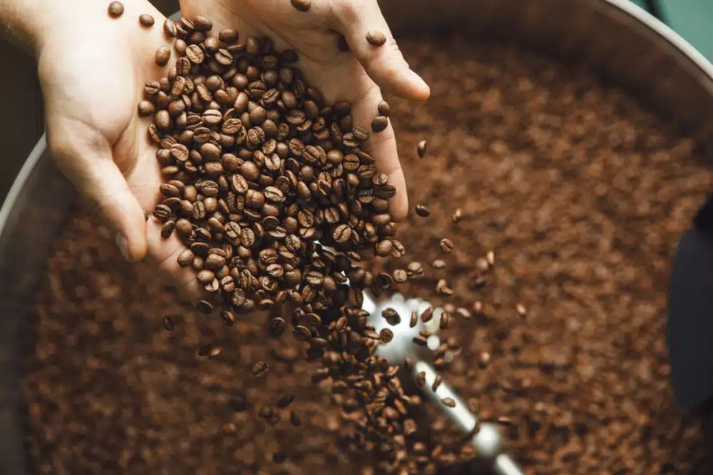 Beste koffiebonen online kopen